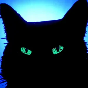 Phim in PET phát quang 